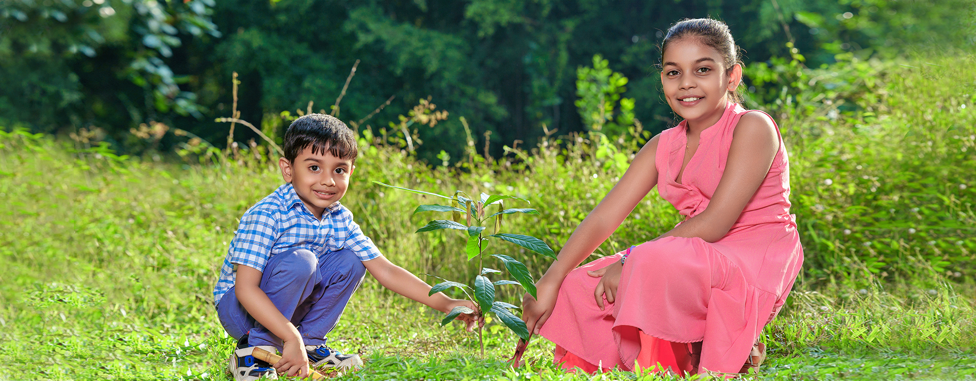 Sustainability banner